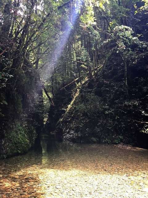 ムーンリバーさんのプロフィール画像