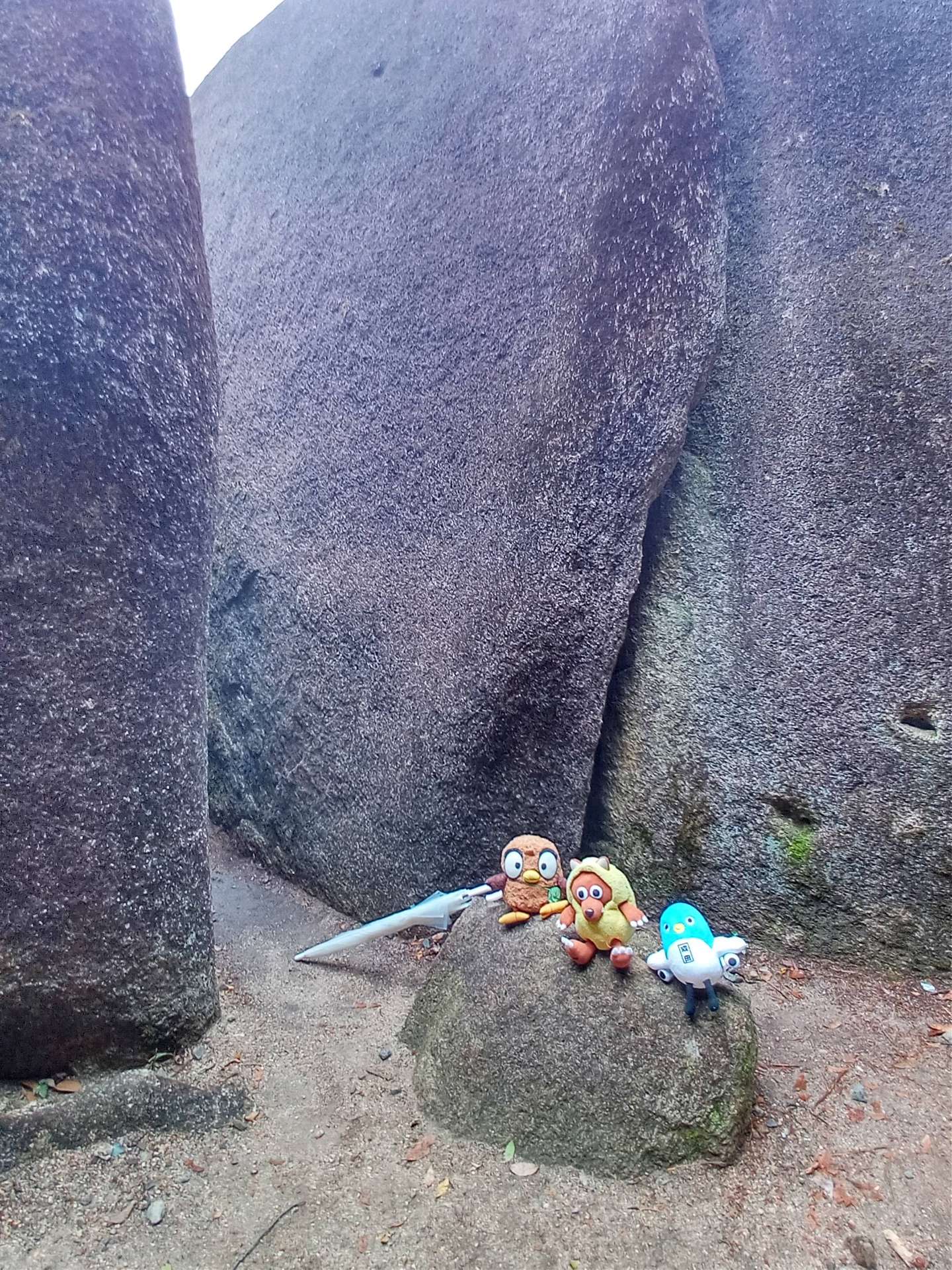 ぶらっくみぽらさんのプロフィール画像