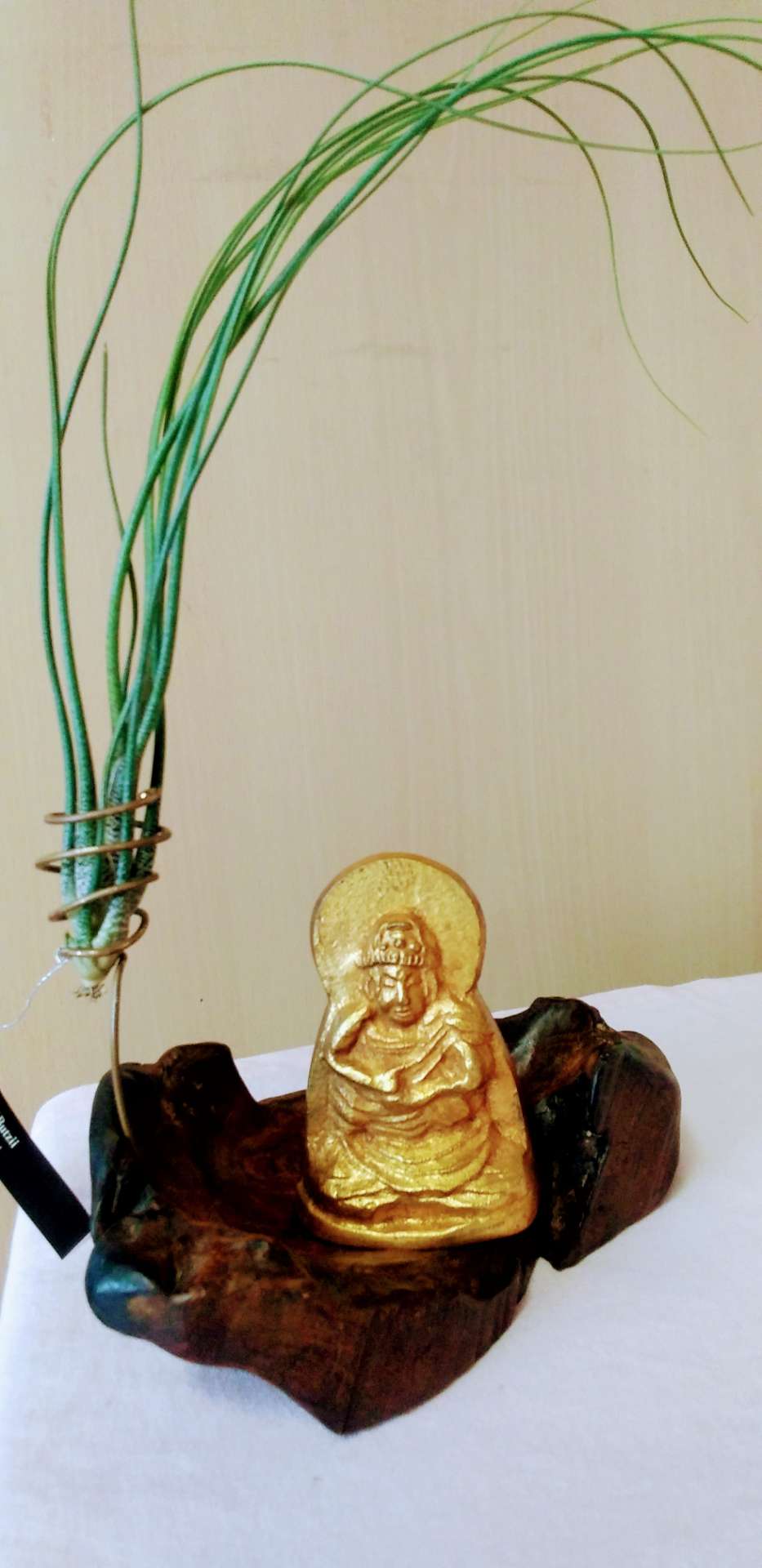 herokyさんのプロフィール画像