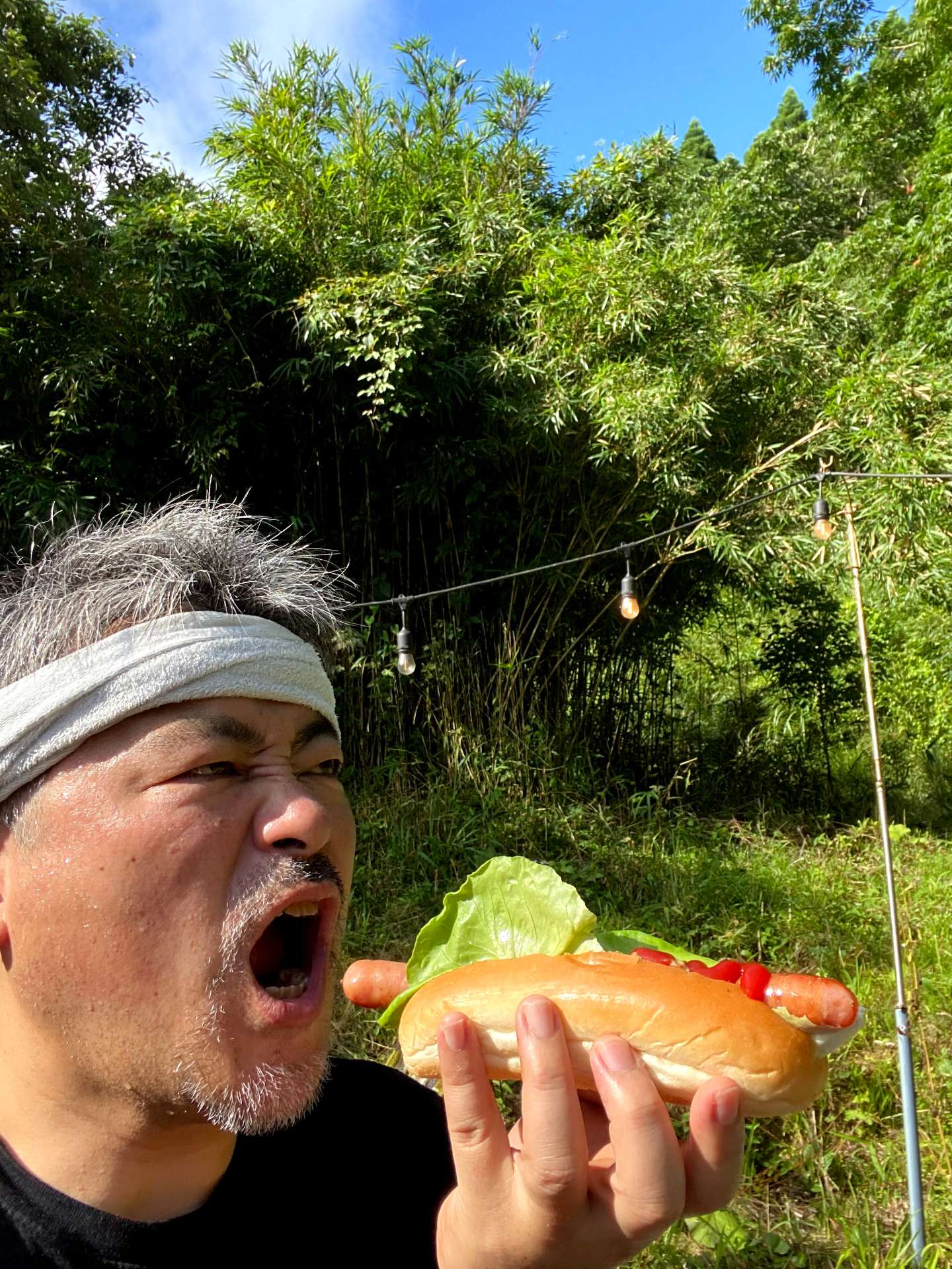 kingasiaさんのプロフィール画像