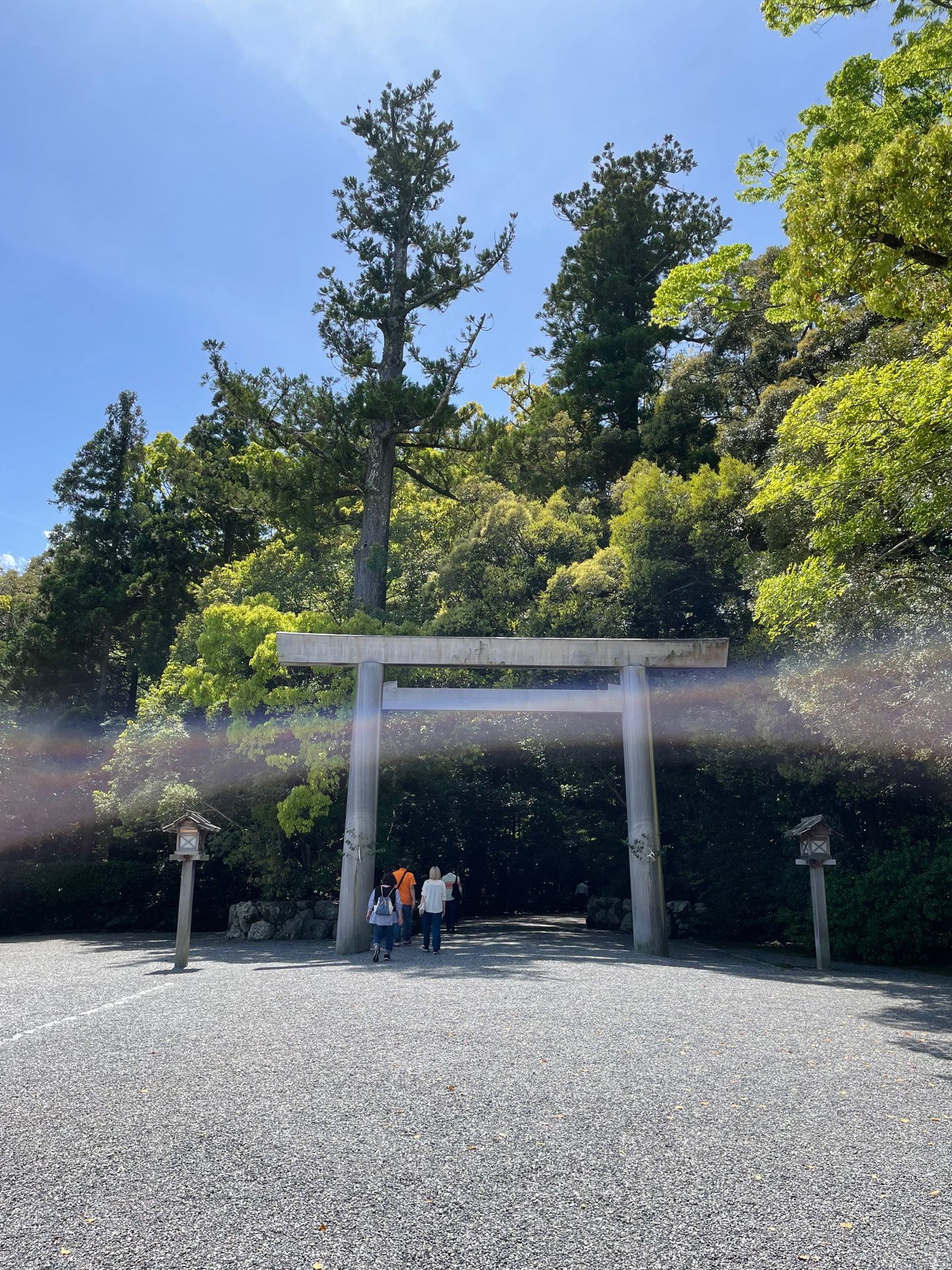 りーこさんのプロフィール画像