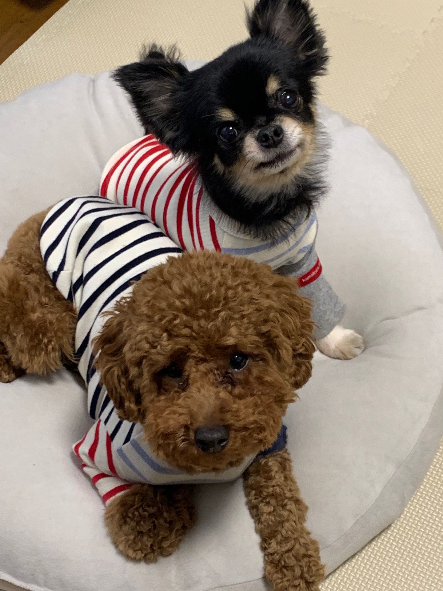 ナニコタさんのプロフィール画像