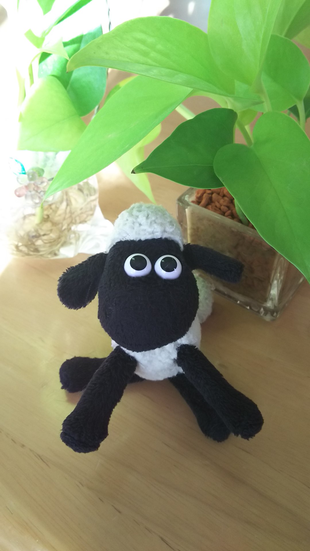 ほみたろうさんのプロフィール画像