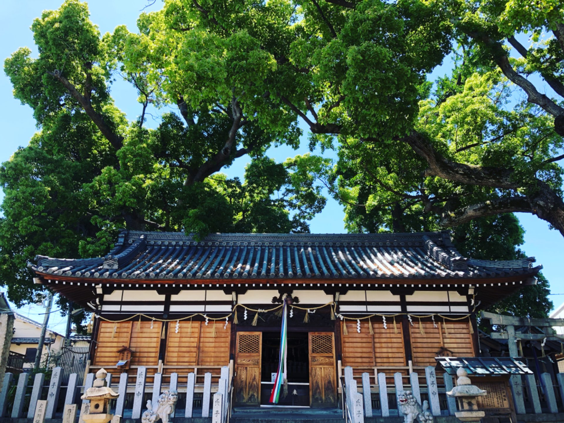 阿保神社さんのプロフィール画像