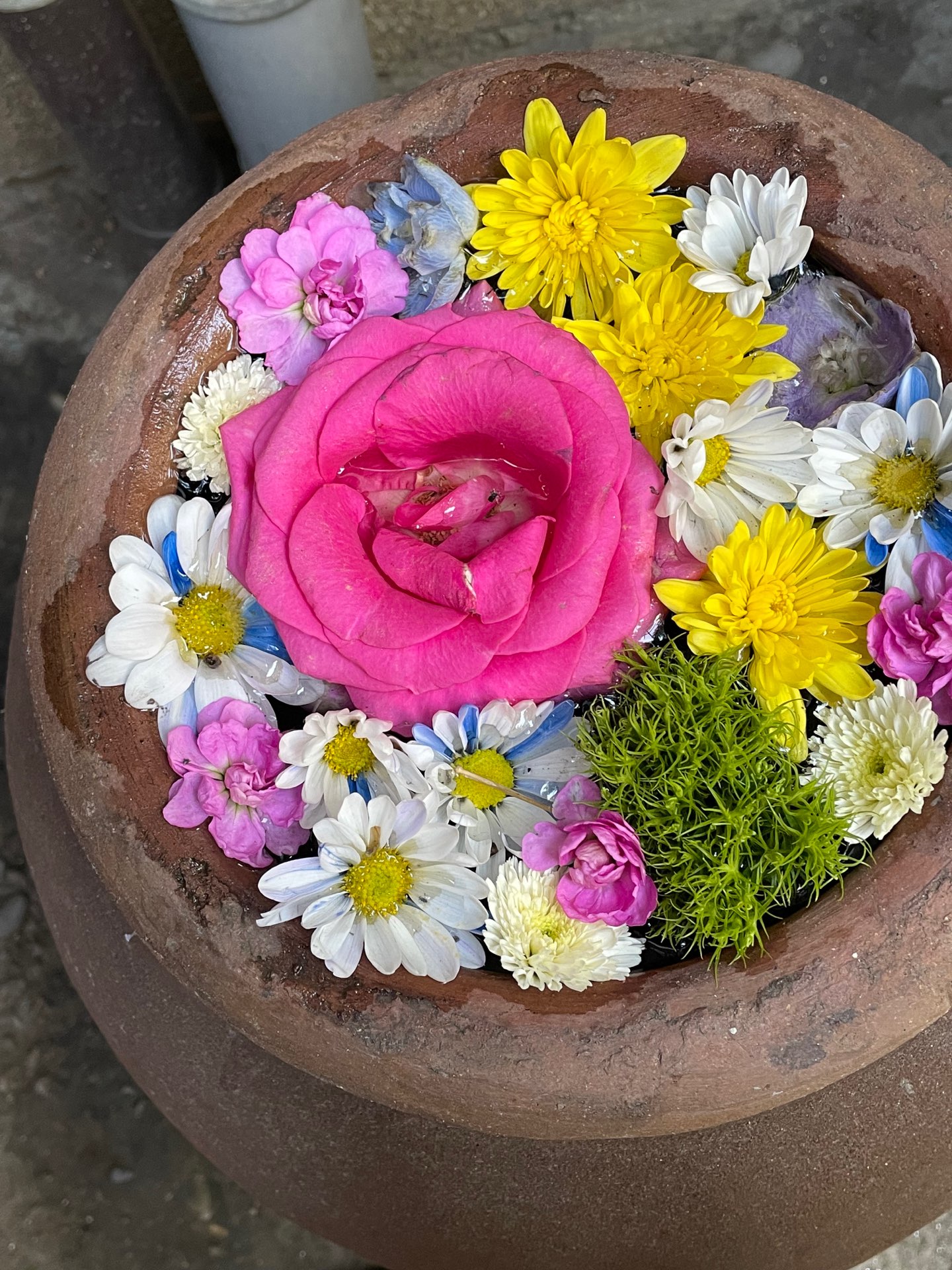 まかさんのプロフィール画像