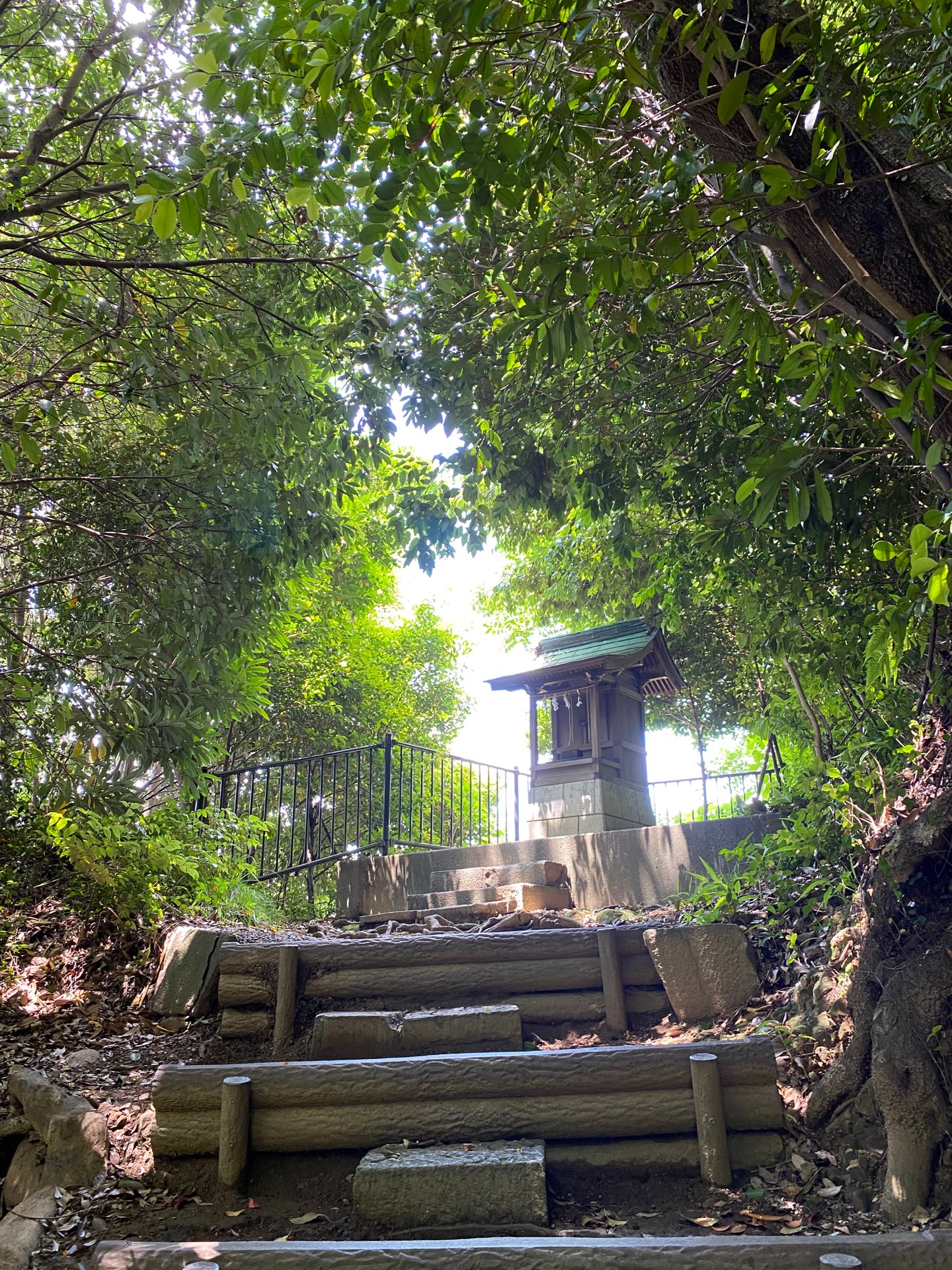 ミルミルさんのプロフィール画像