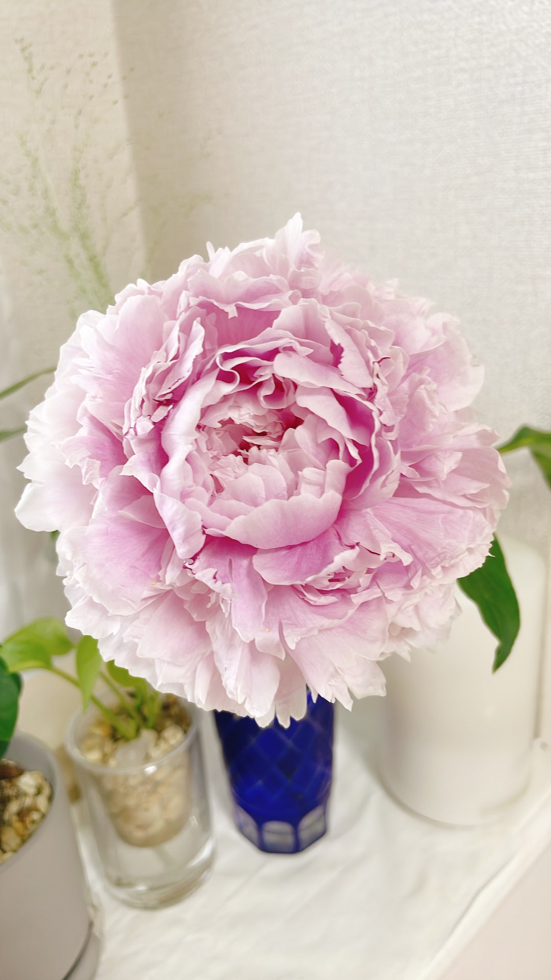 きよさんのプロフィール画像