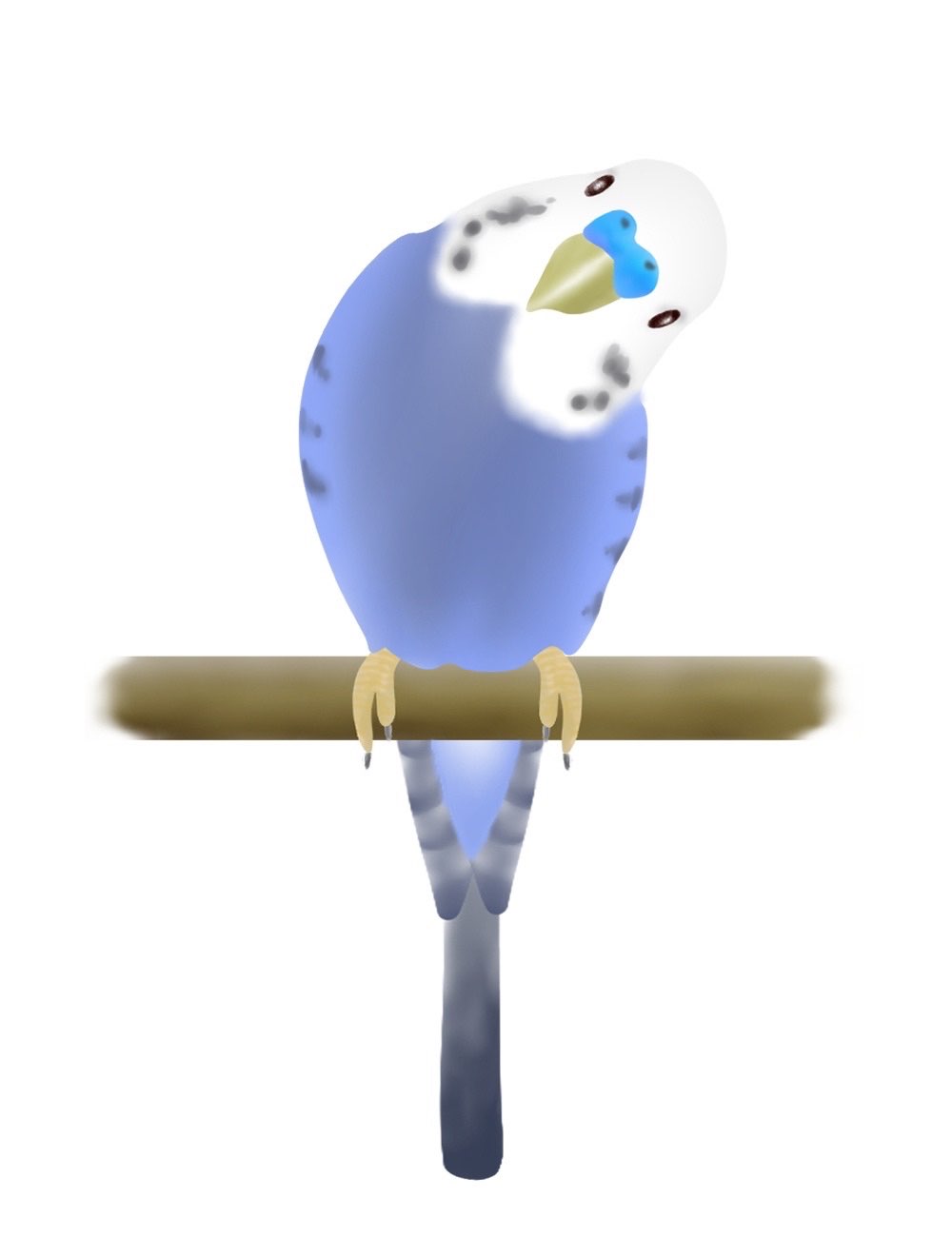 独兎さんのプロフィール画像