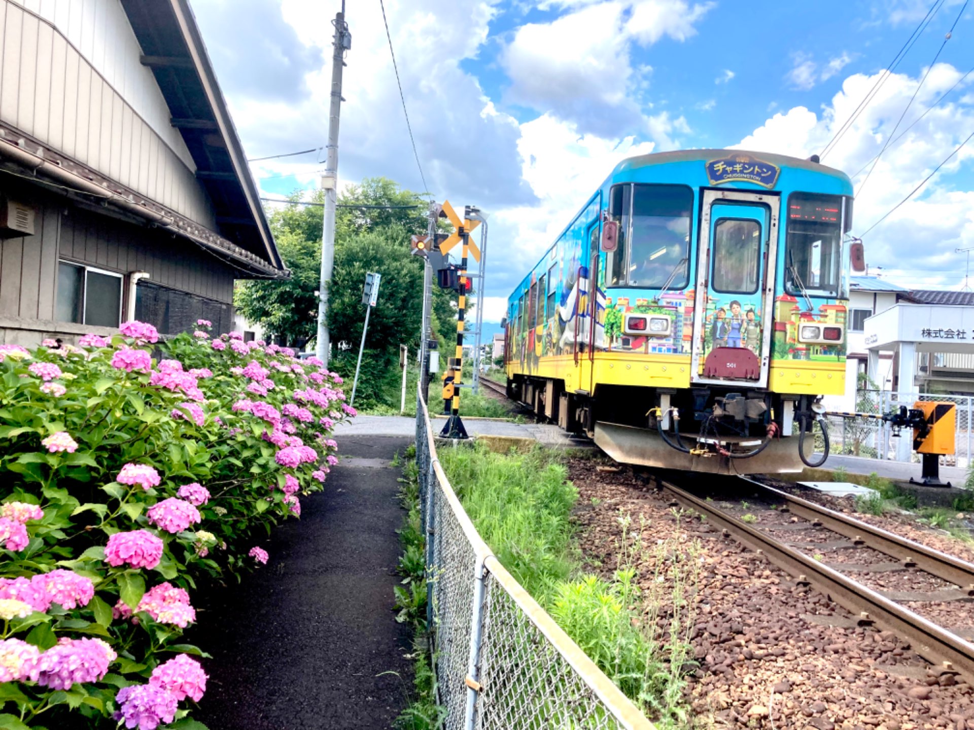 アッシーさんのプロフィール画像