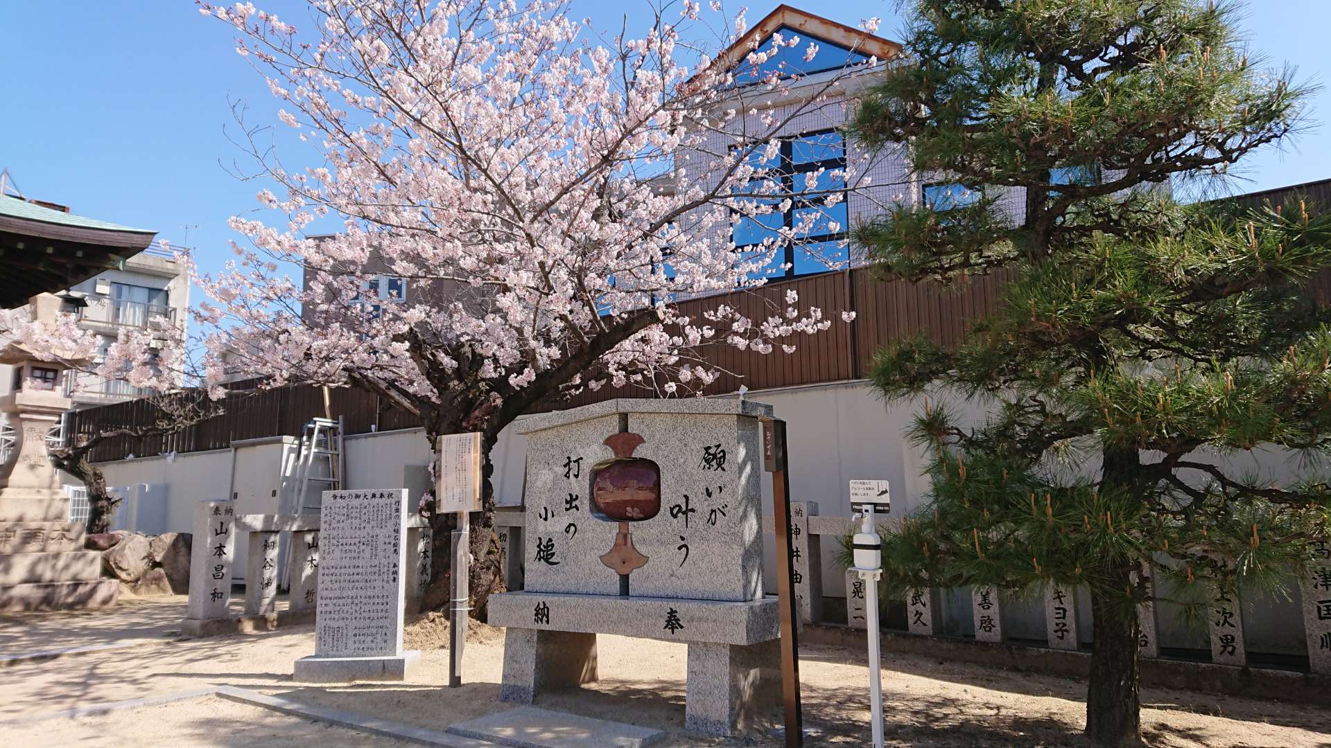 橋本さんのプロフィール画像