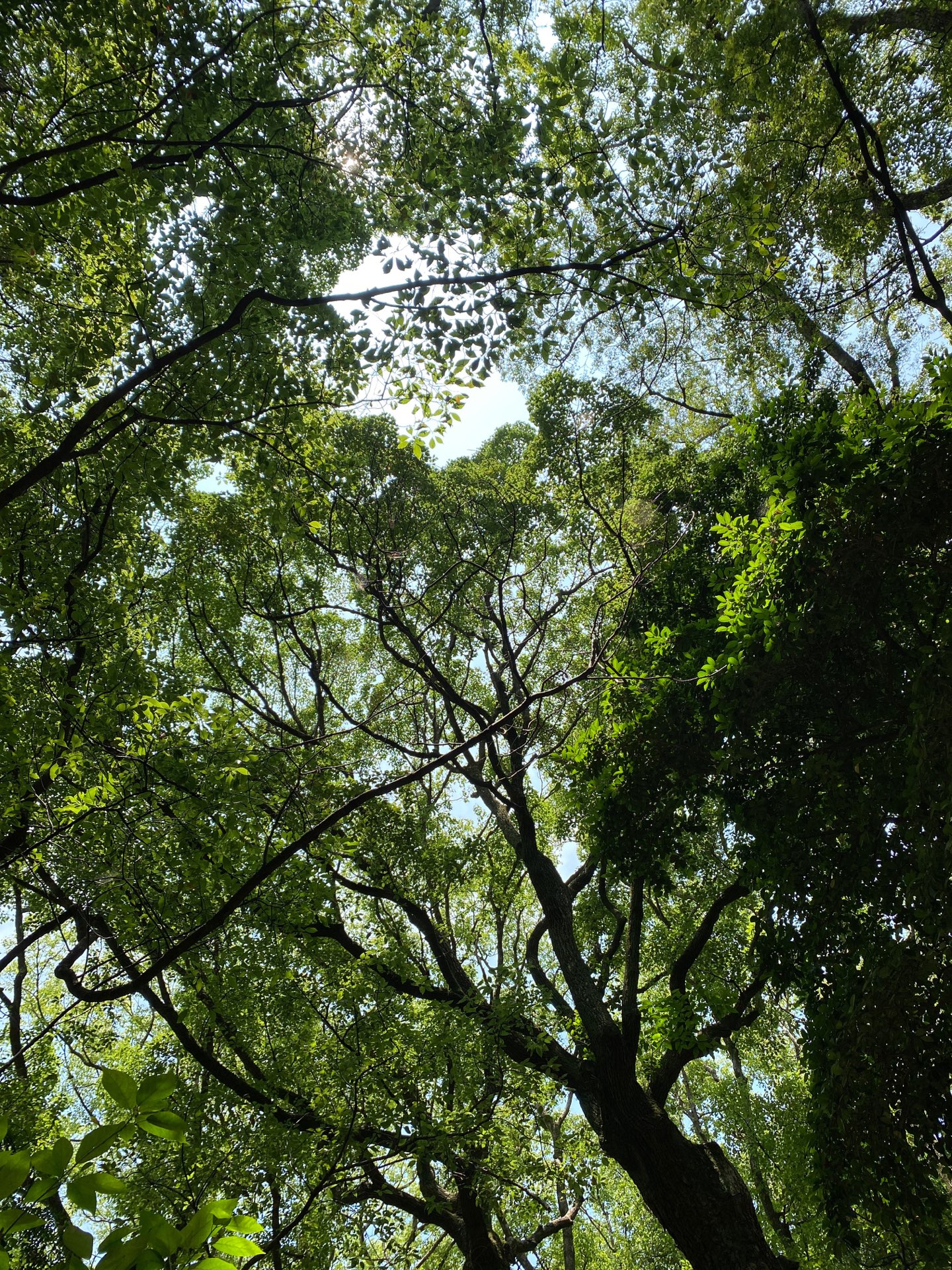 みちさんのプロフィール画像