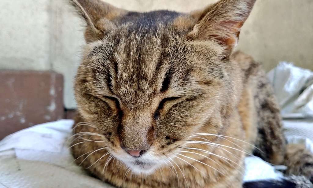 moriさんのプロフィール画像