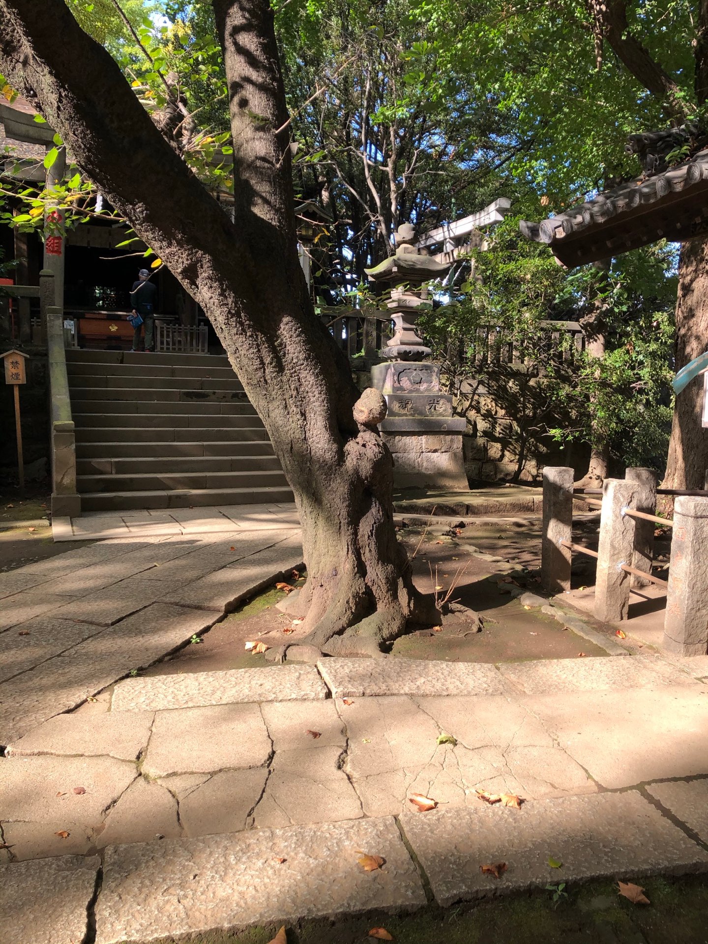 shi_ra_nu_iさんのプロフィール画像