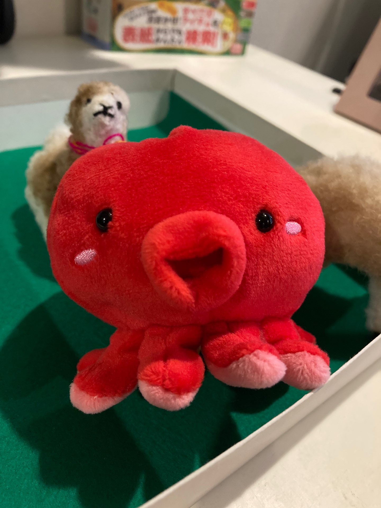 たこたーこさんのプロフィール画像