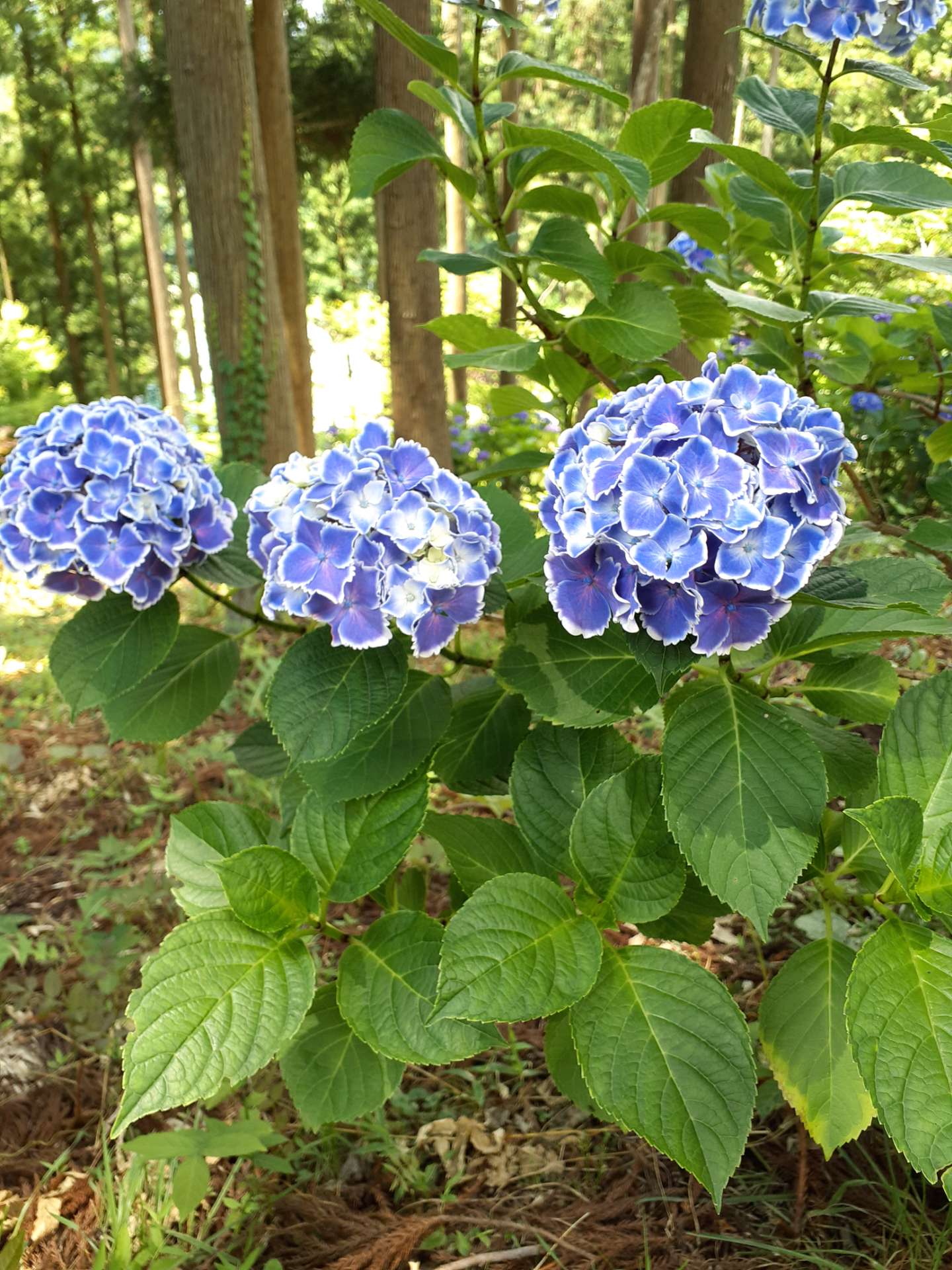 yueさんのプロフィール画像