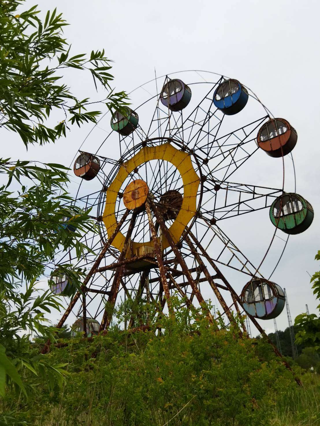 佐倉薫さんのプロフィール画像