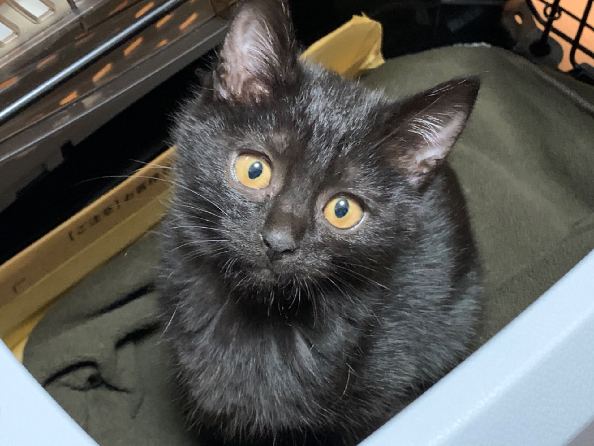 バラバさんのプロフィール画像