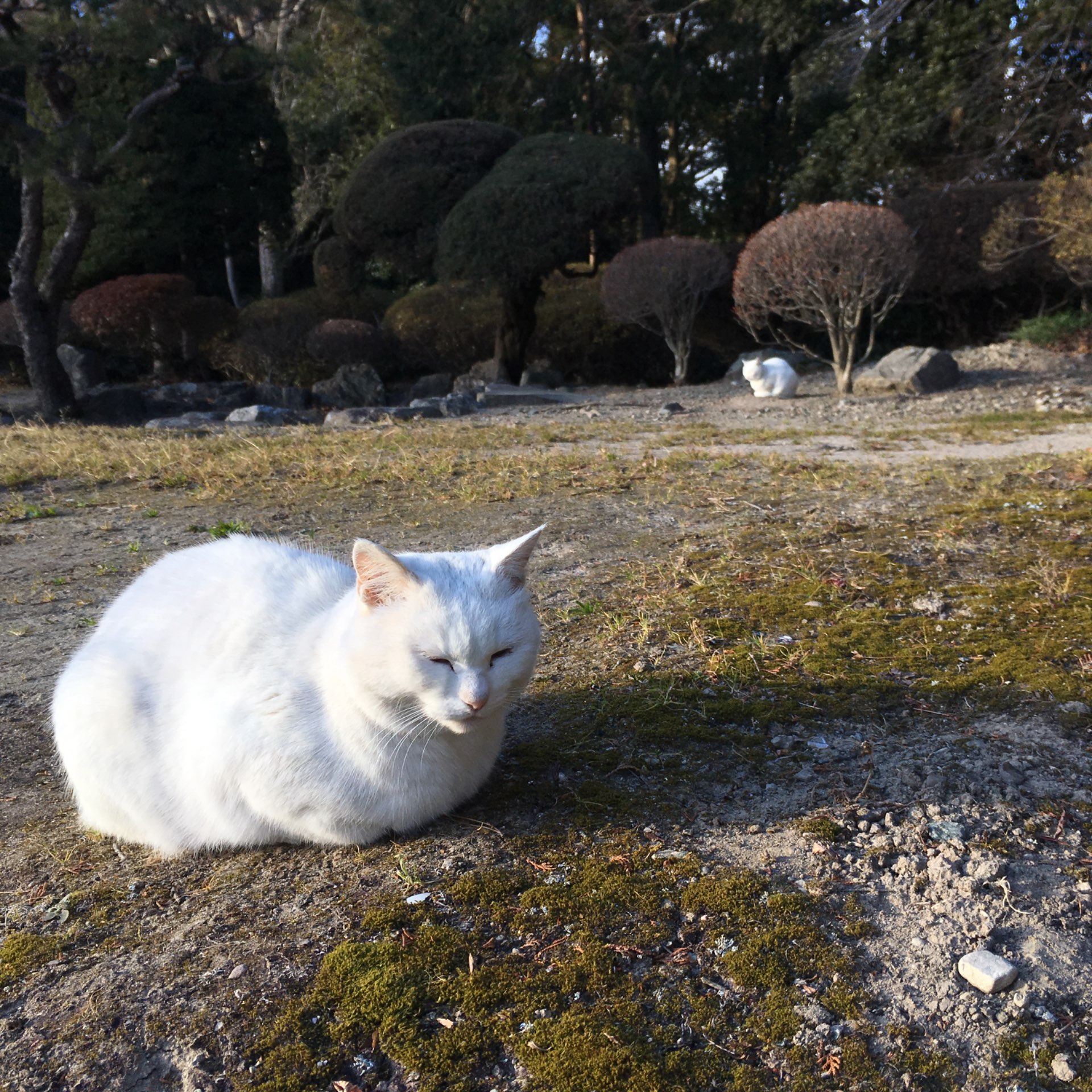 A fleeting dreamさんのプロフィール画像