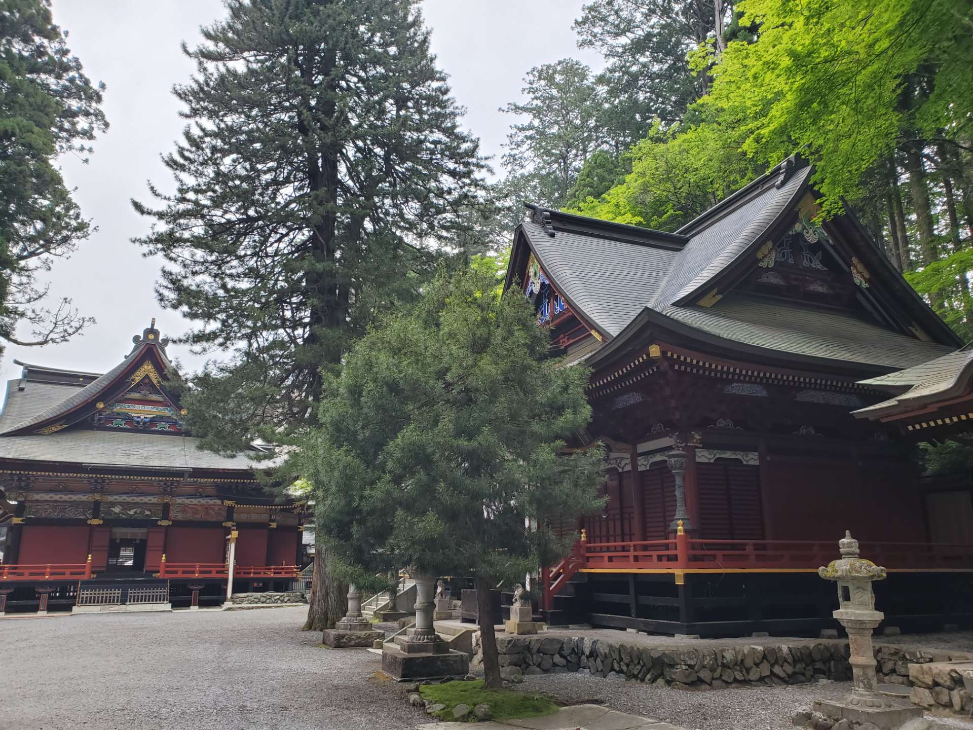 トコトコ散歩さんのプロフィール画像