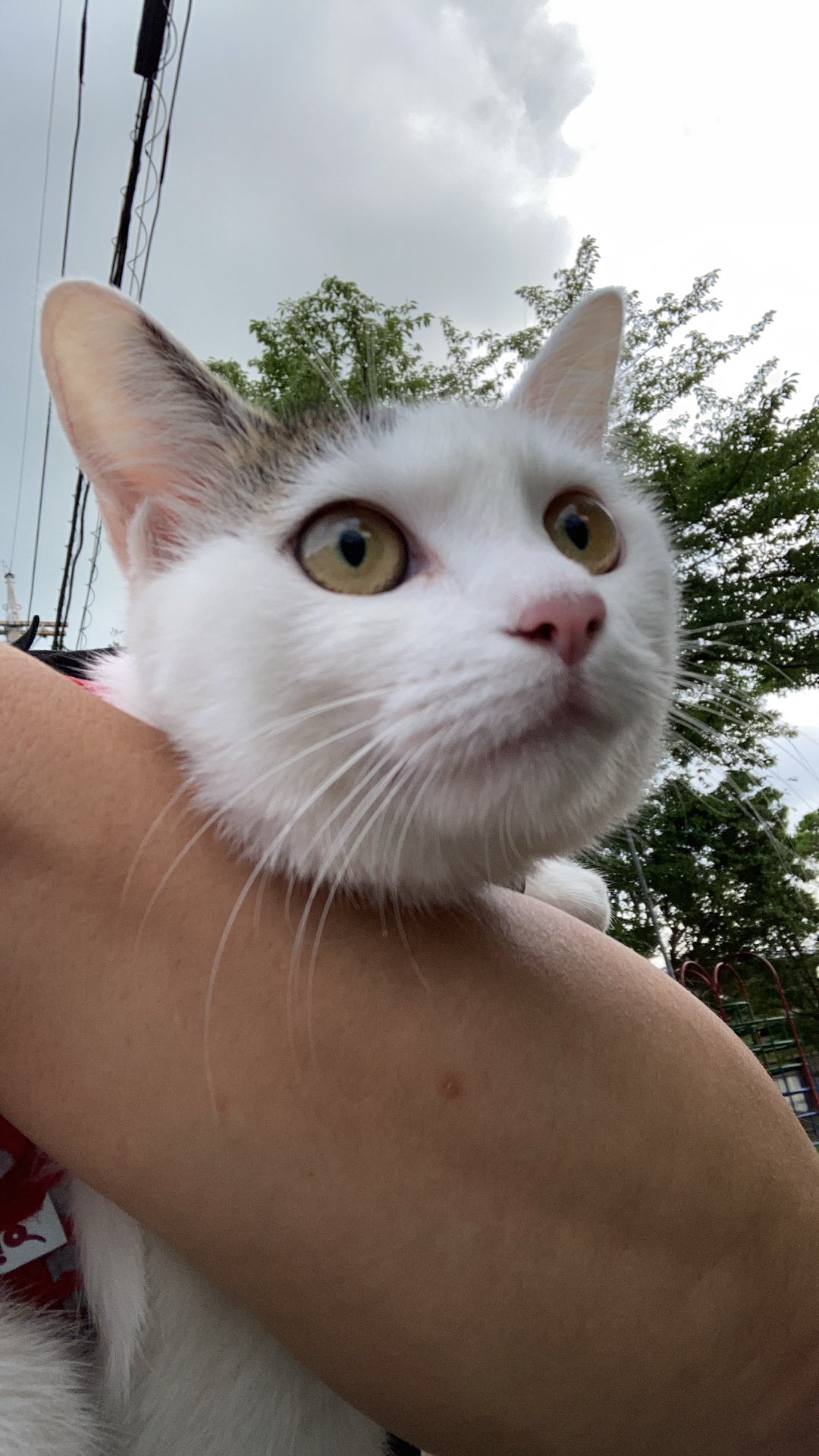 ミドルエイジさんのプロフィール画像