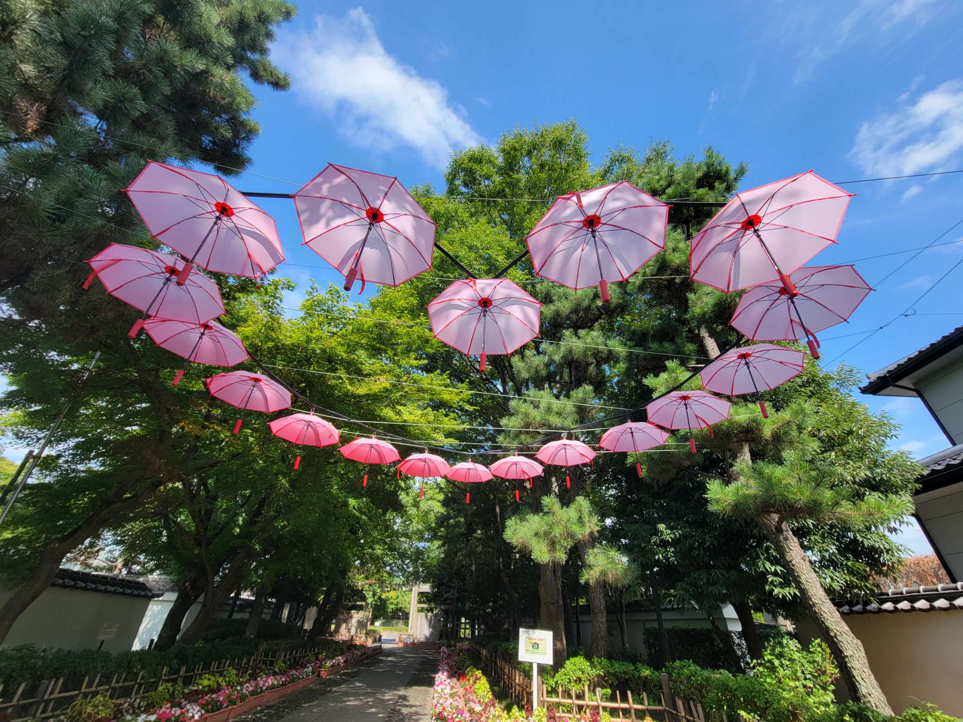 青子さんのプロフィール画像