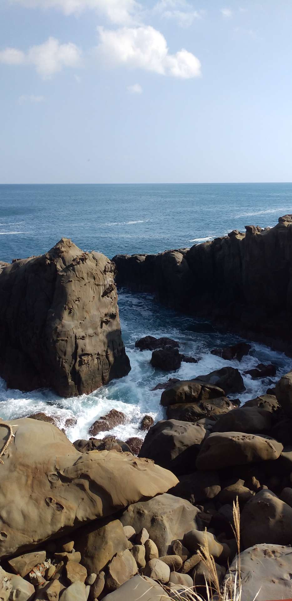 たけさんのプロフィール画像