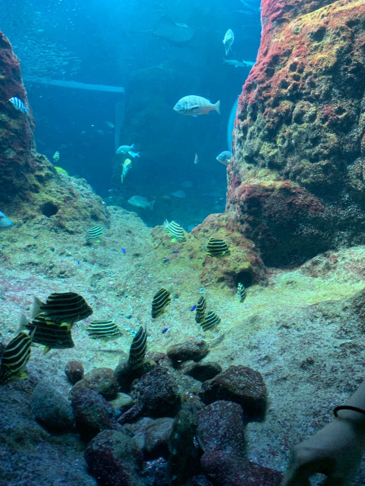 まささんのプロフィール画像