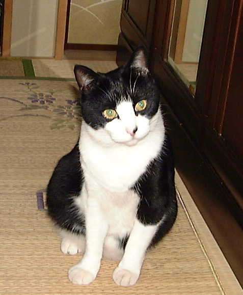 たかぴろさんのプロフィール画像