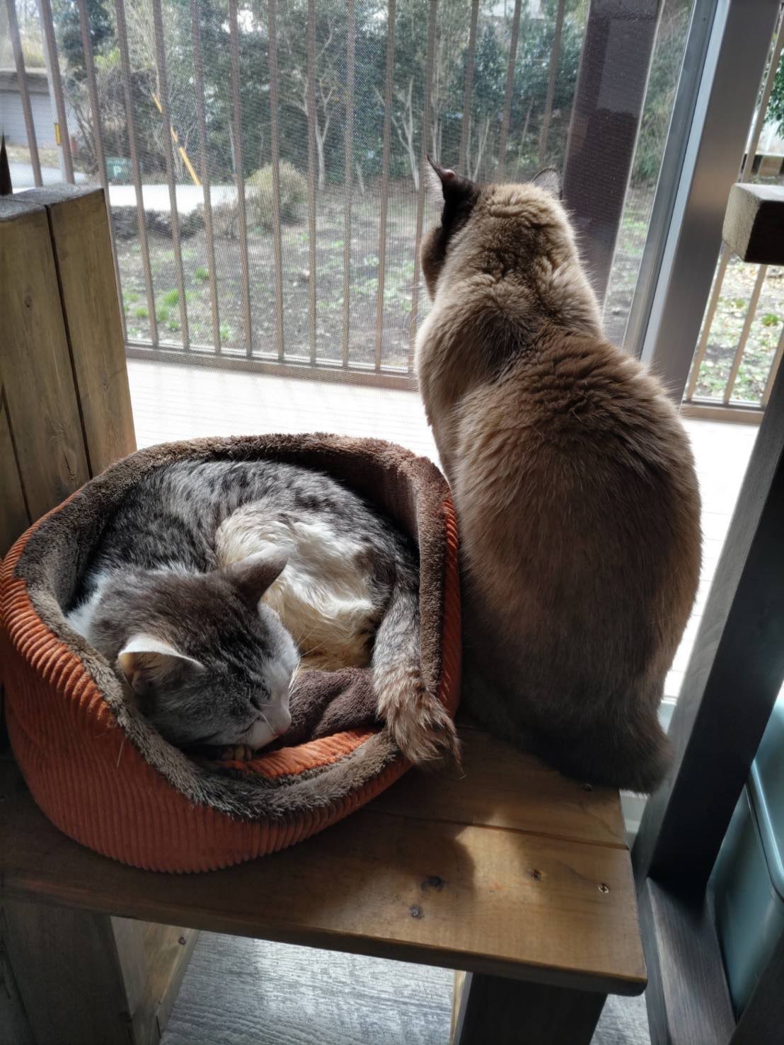 なるすけさんのプロフィール画像