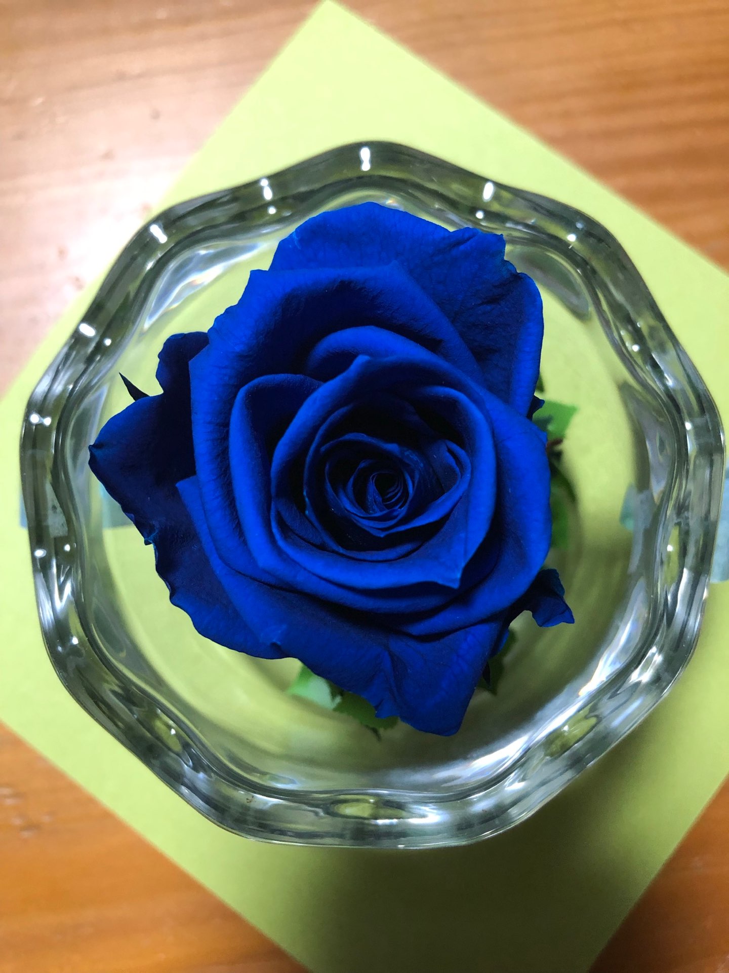 chum hugさんのプロフィール画像