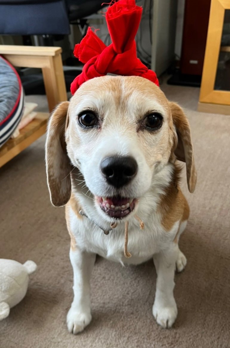 かのんパパさんのプロフィール画像