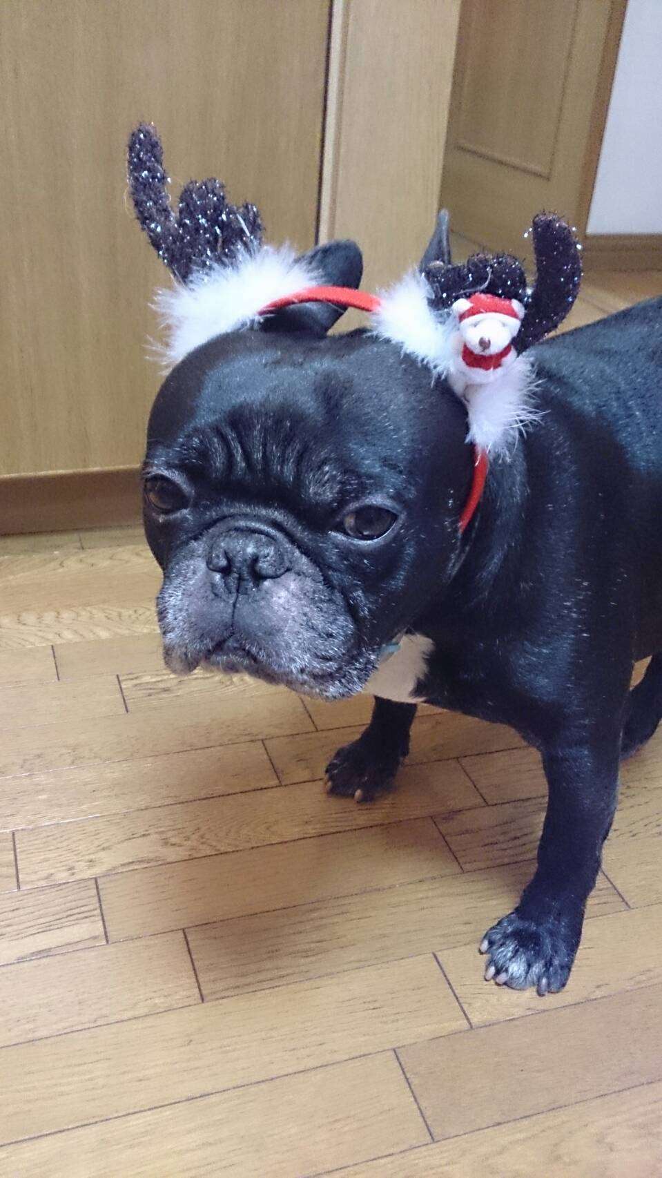 まるこびっちさんのプロフィール画像