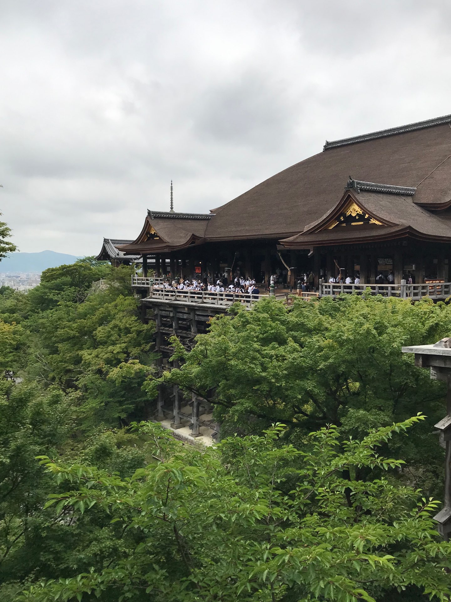 野猿さんのプロフィール画像