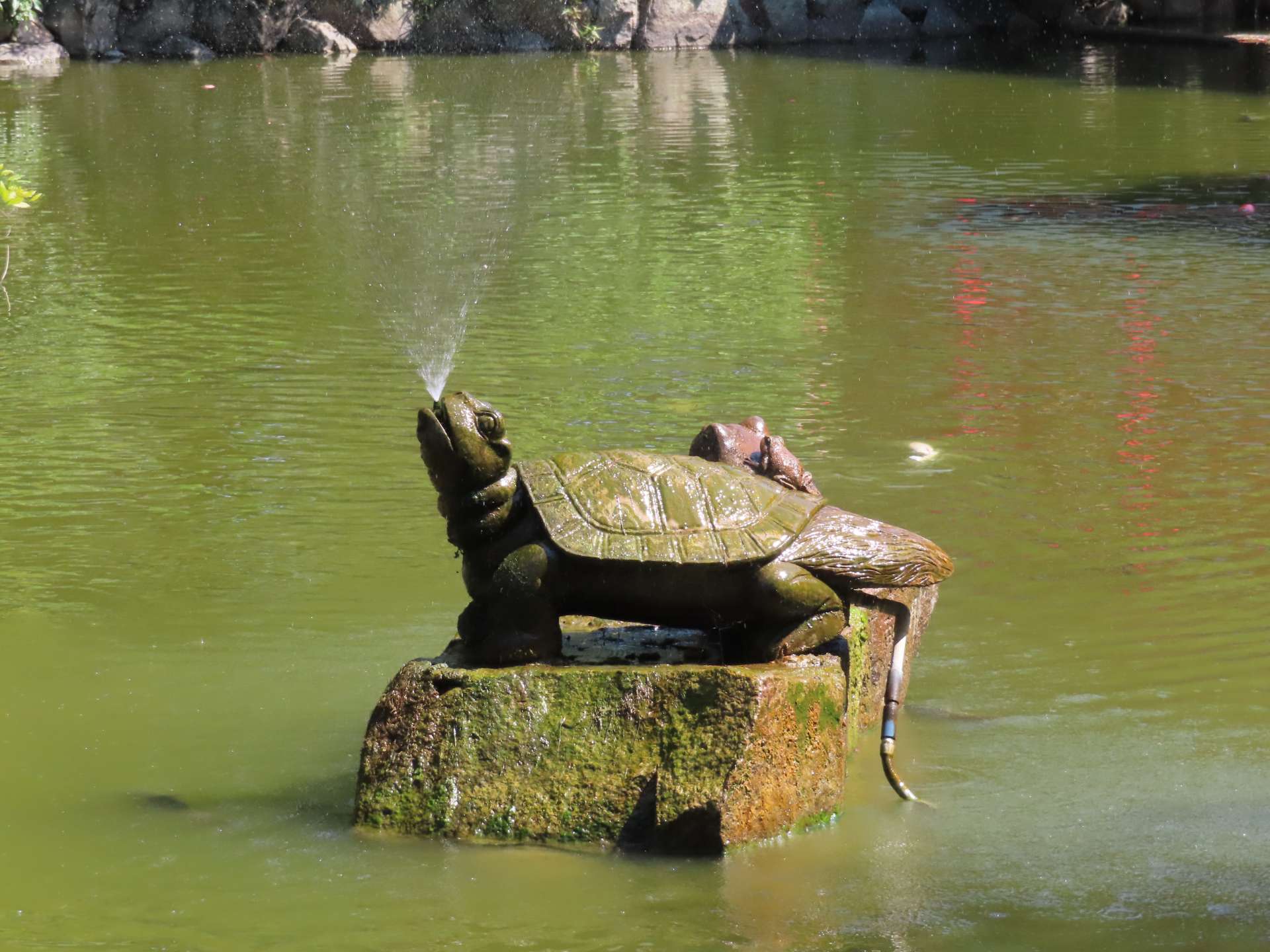 ゴールデンハスキーさんのプロフィール画像