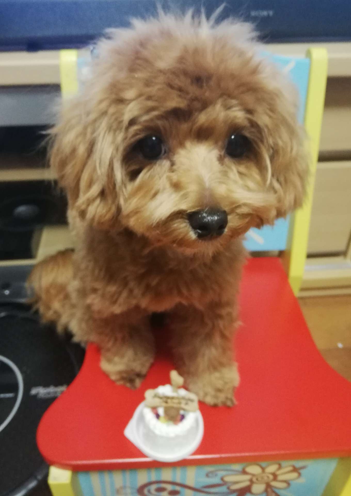 さちえさんのプロフィール画像