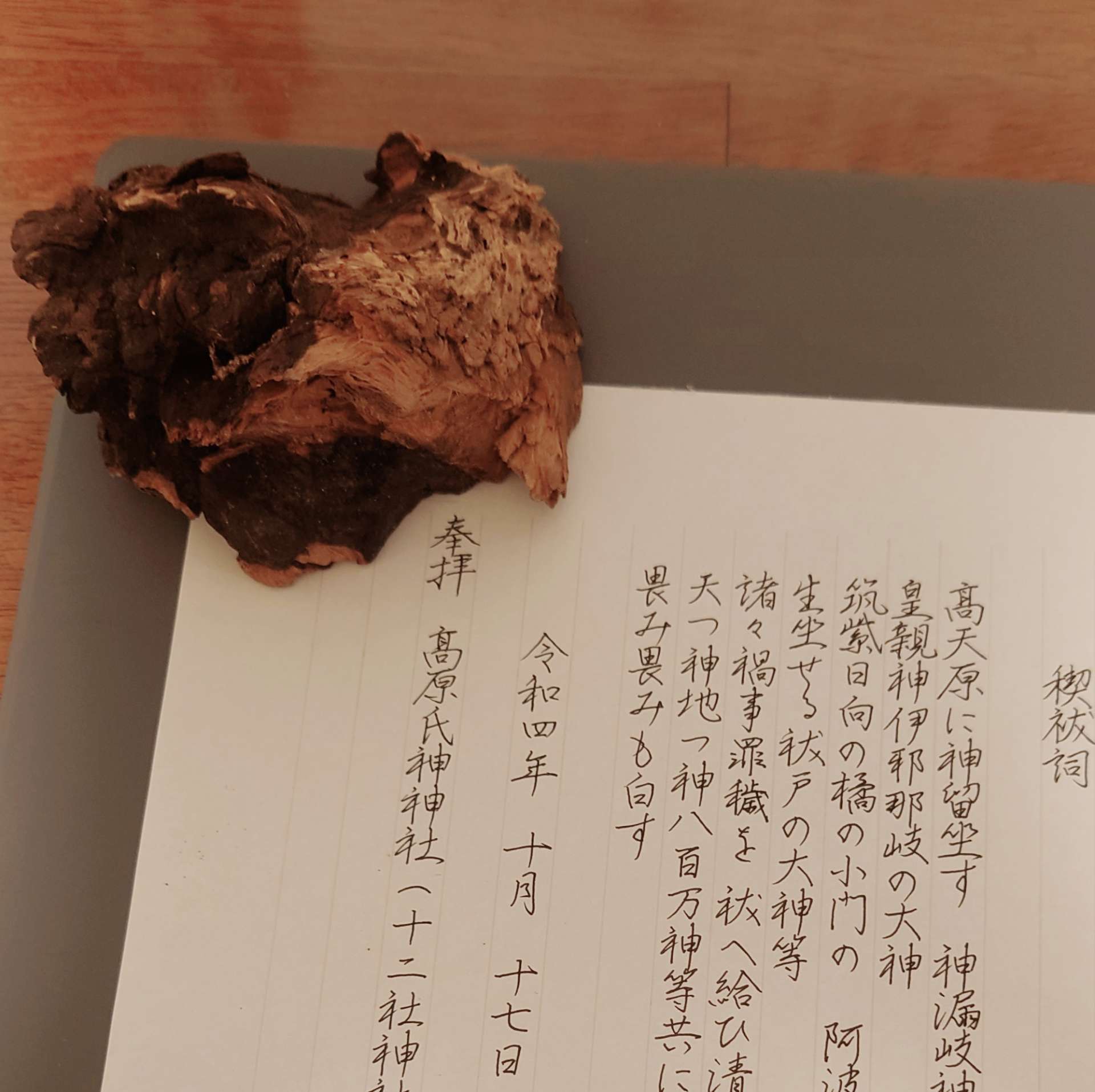 ゆうさんのプロフィール画像