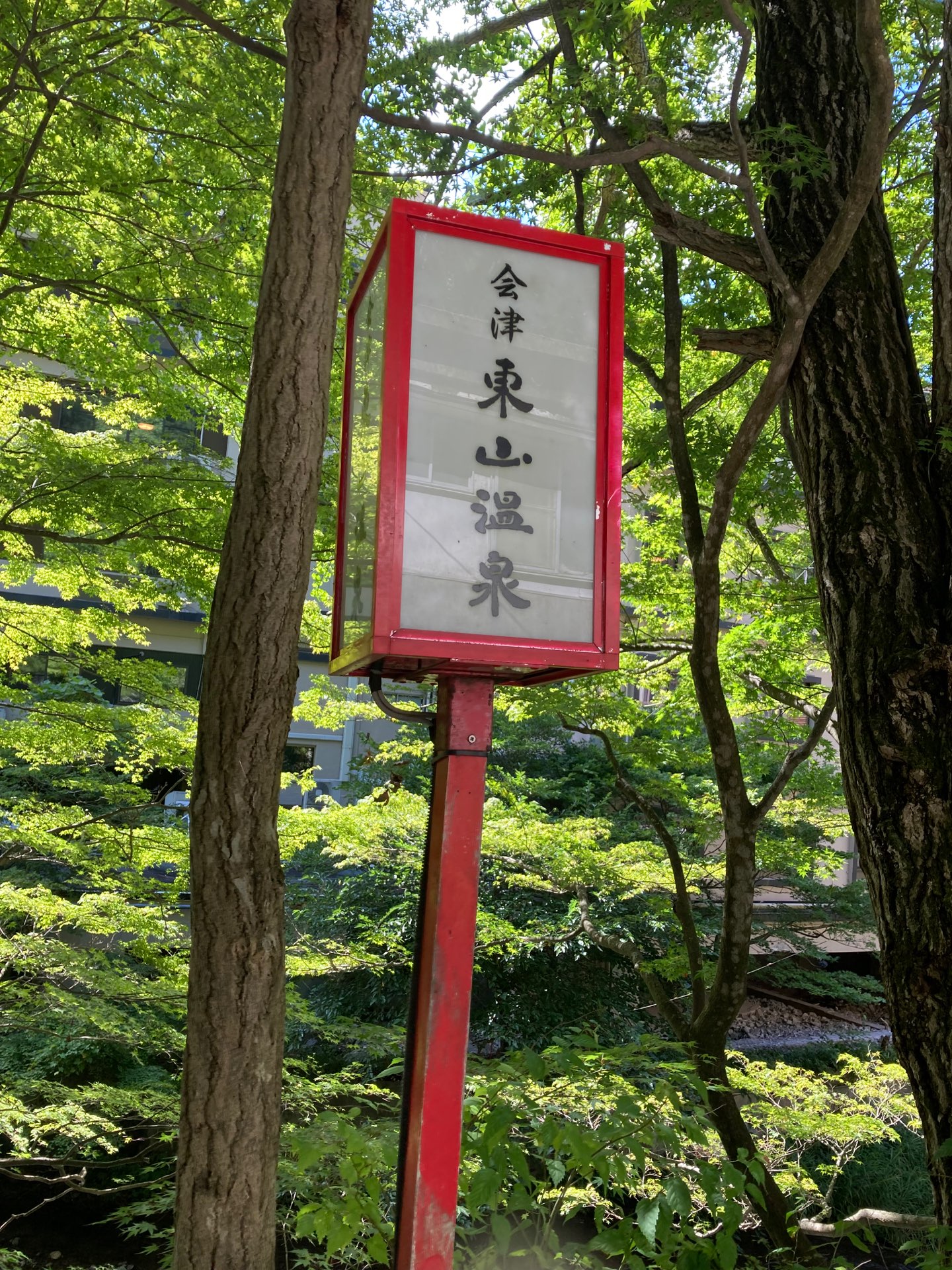 モトキさんのプロフィール画像