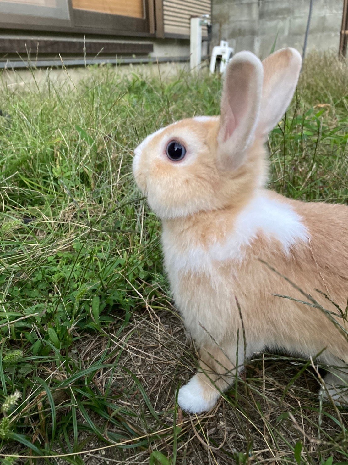 もしもしさんのプロフィール画像