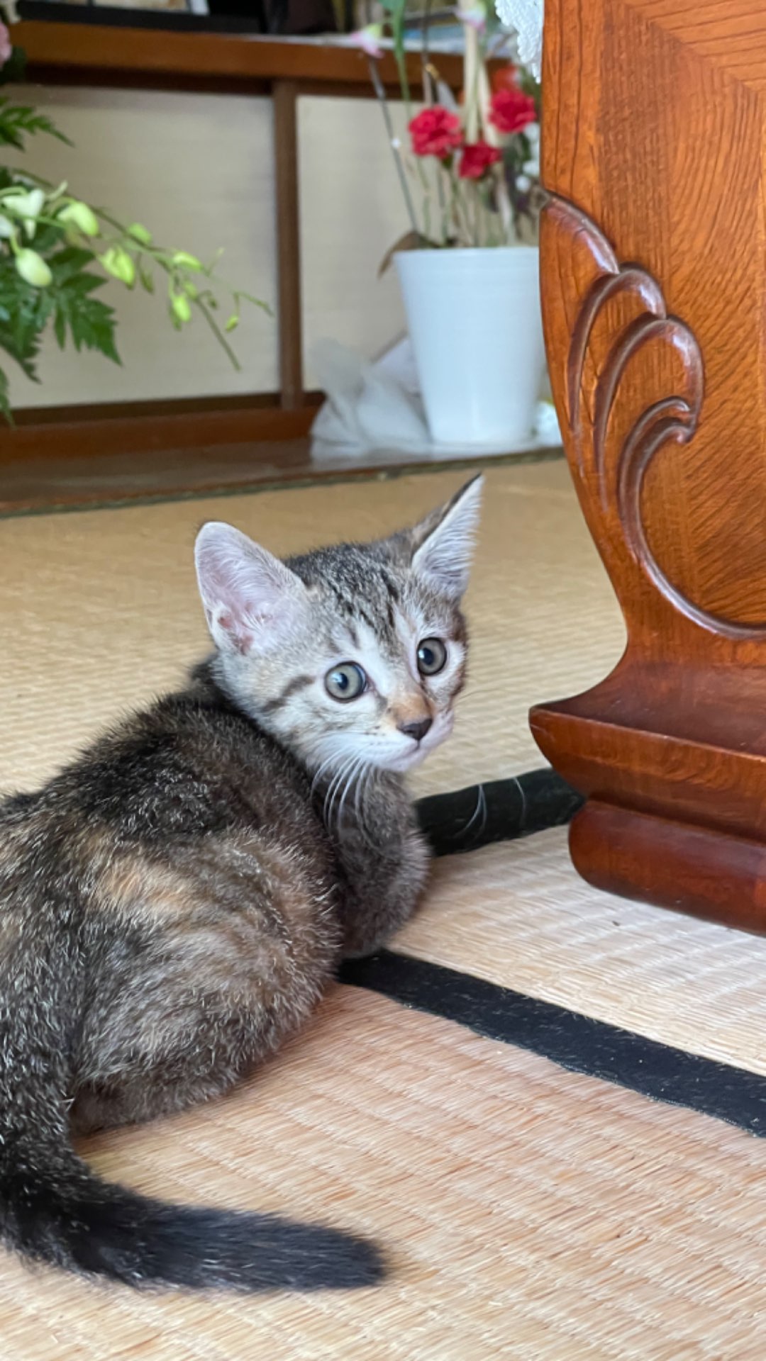 じまさんのプロフィール画像