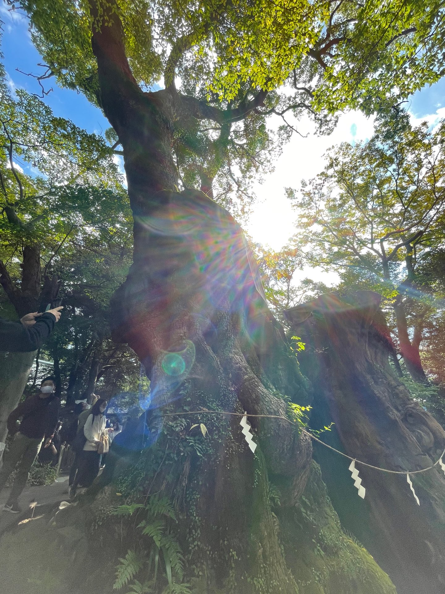 ゆりあんさんのプロフィール画像