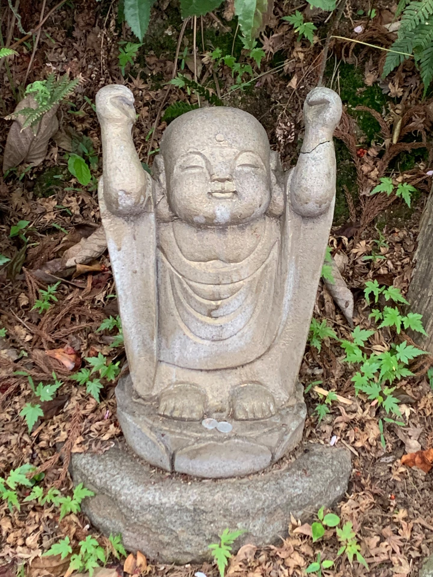 240ka00さんのプロフィール画像