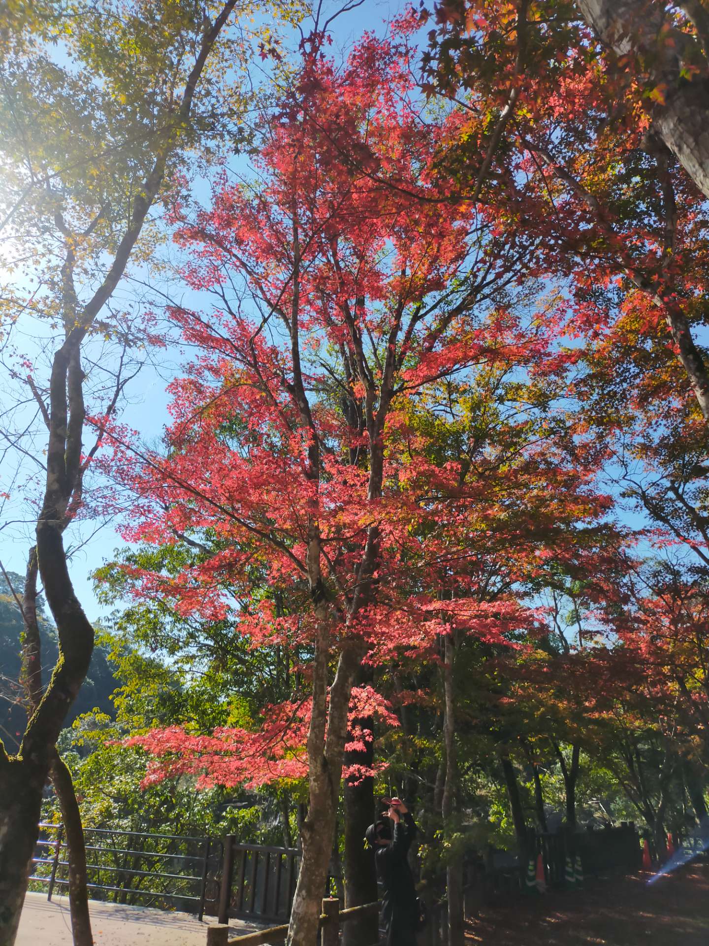 ニーナさんのプロフィール画像