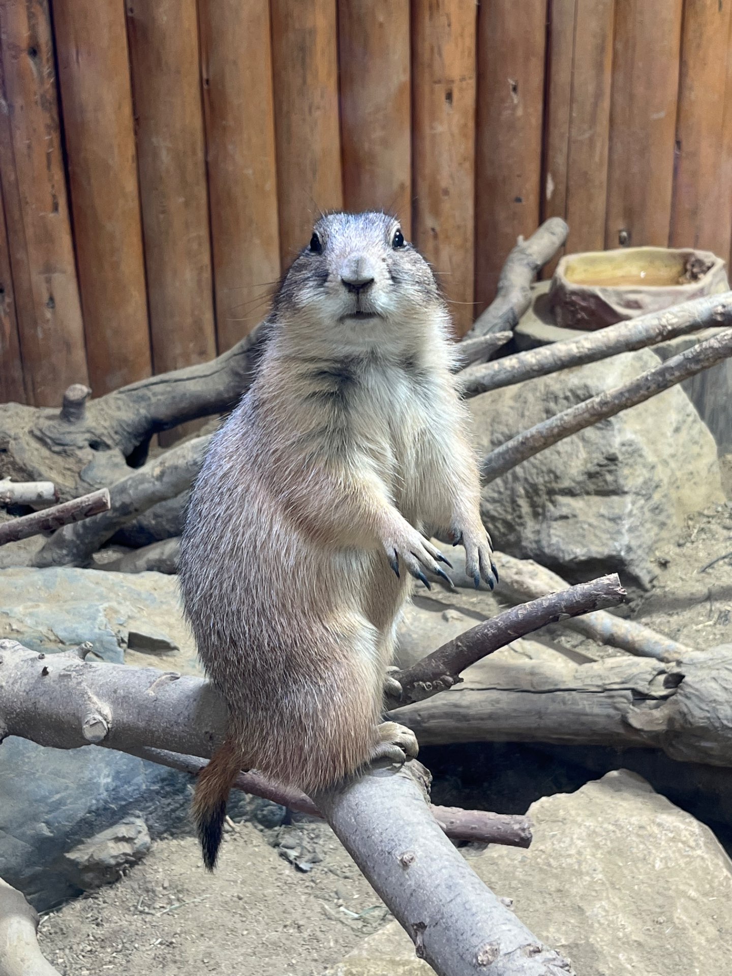 ヤナモトさんのプロフィール画像