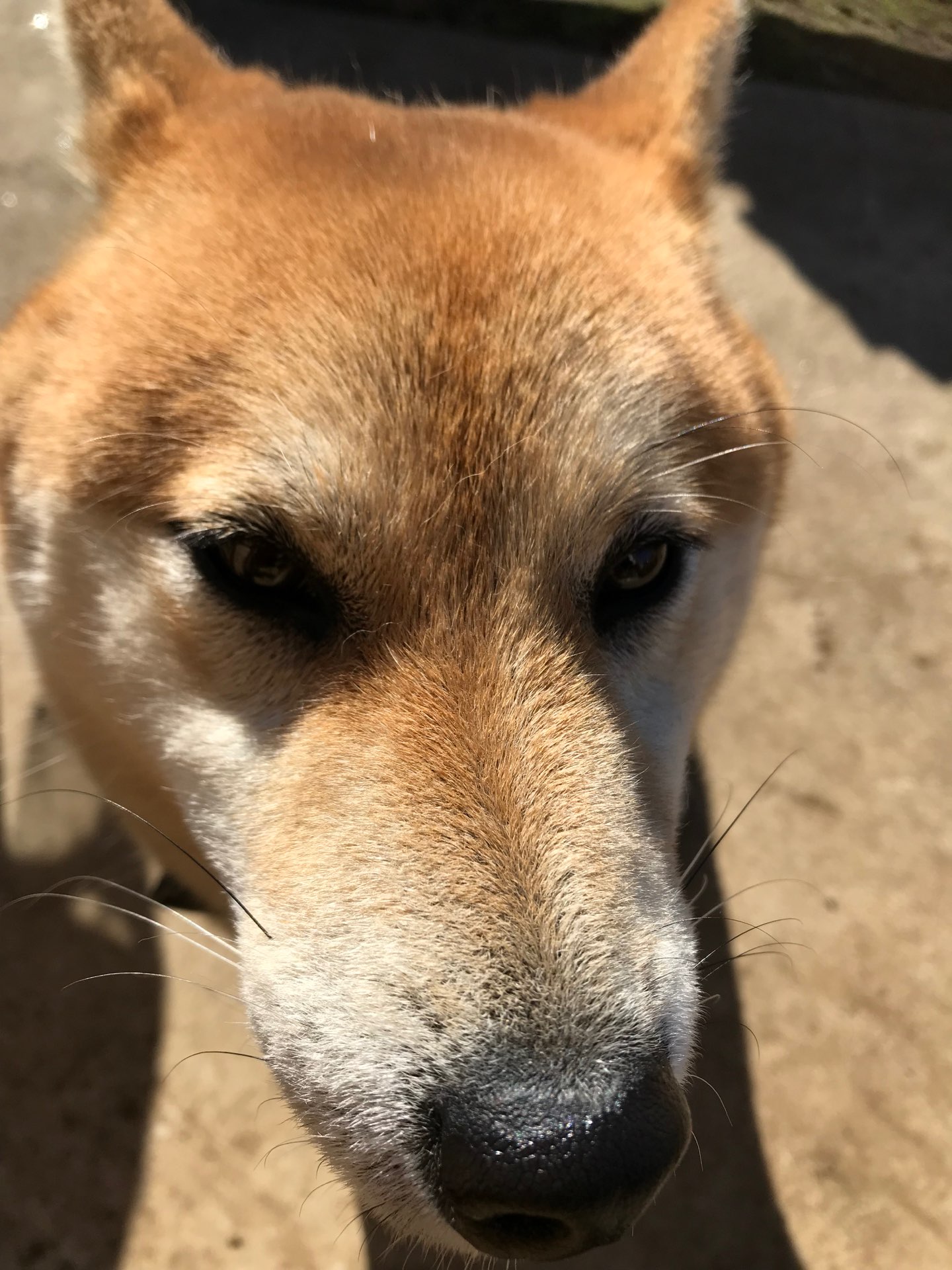 雪二郎さんのプロフィール画像