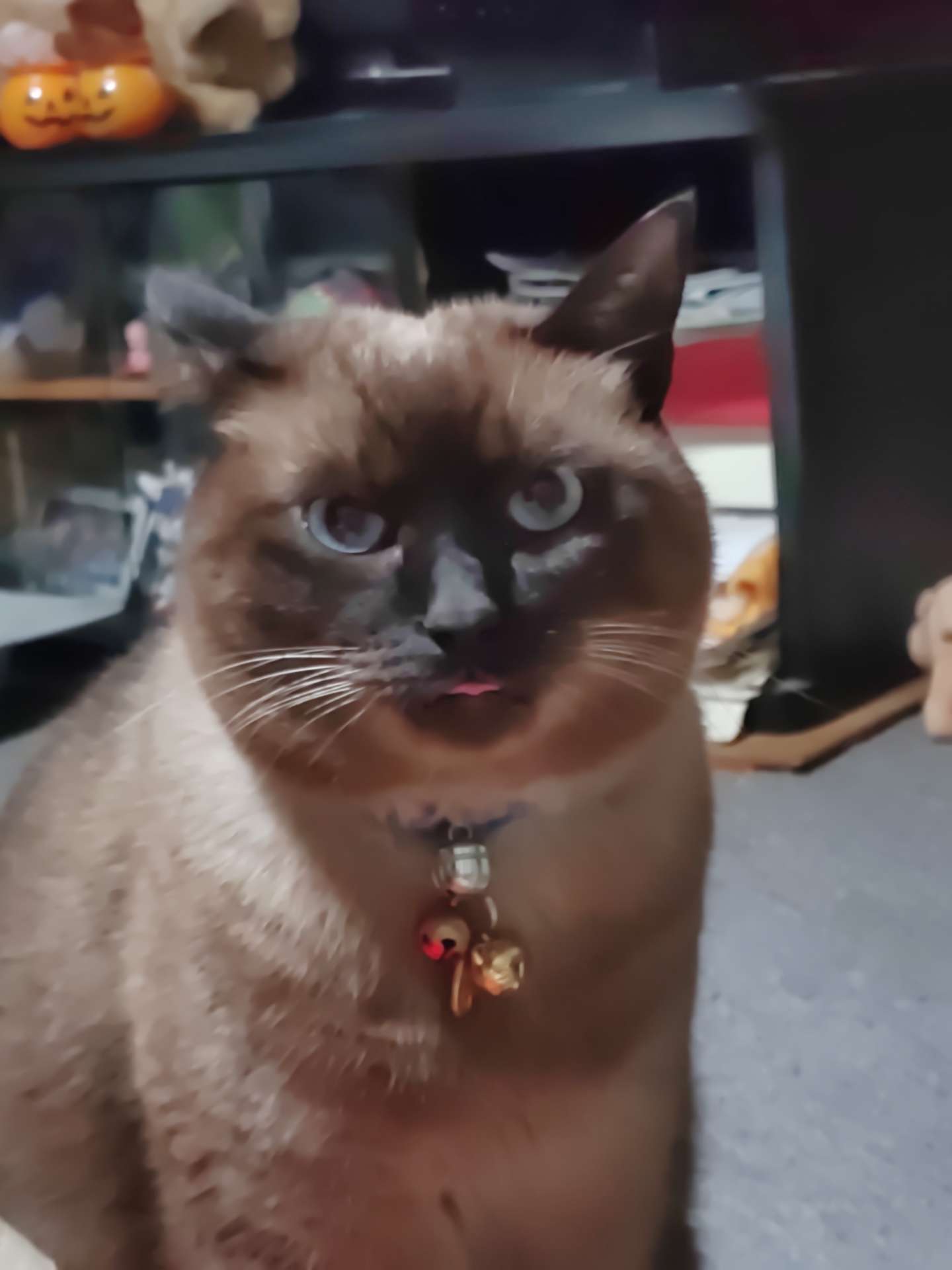 花※花さんのプロフィール画像