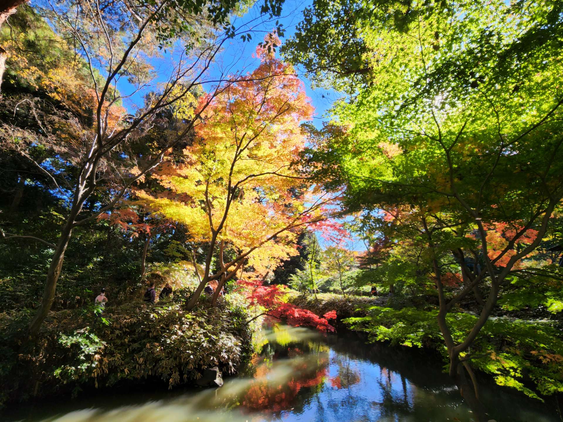 dgoto510さんのプロフィール画像