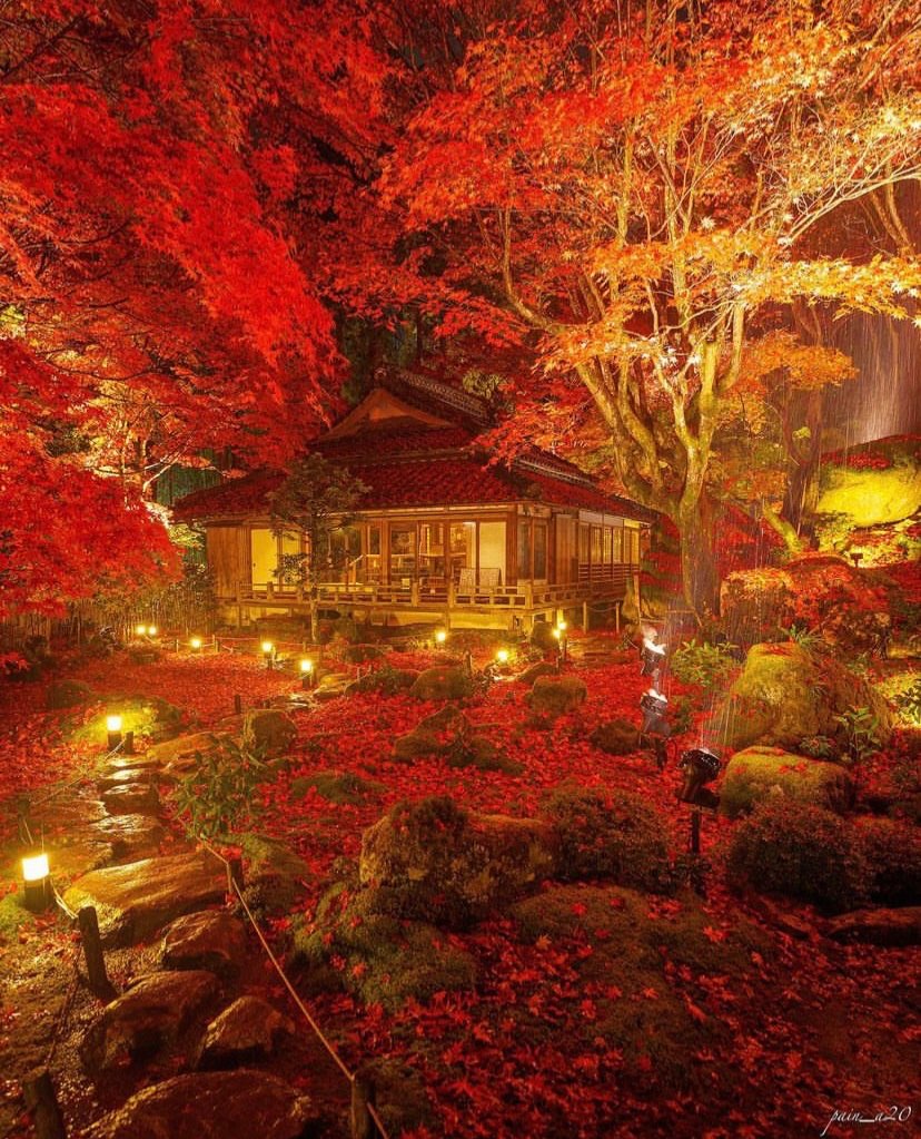  naviruさんのプロフィール画像