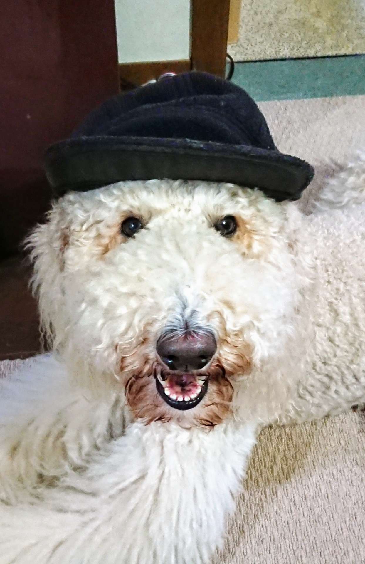 Tsubaki.Rentaroさんのプロフィール画像