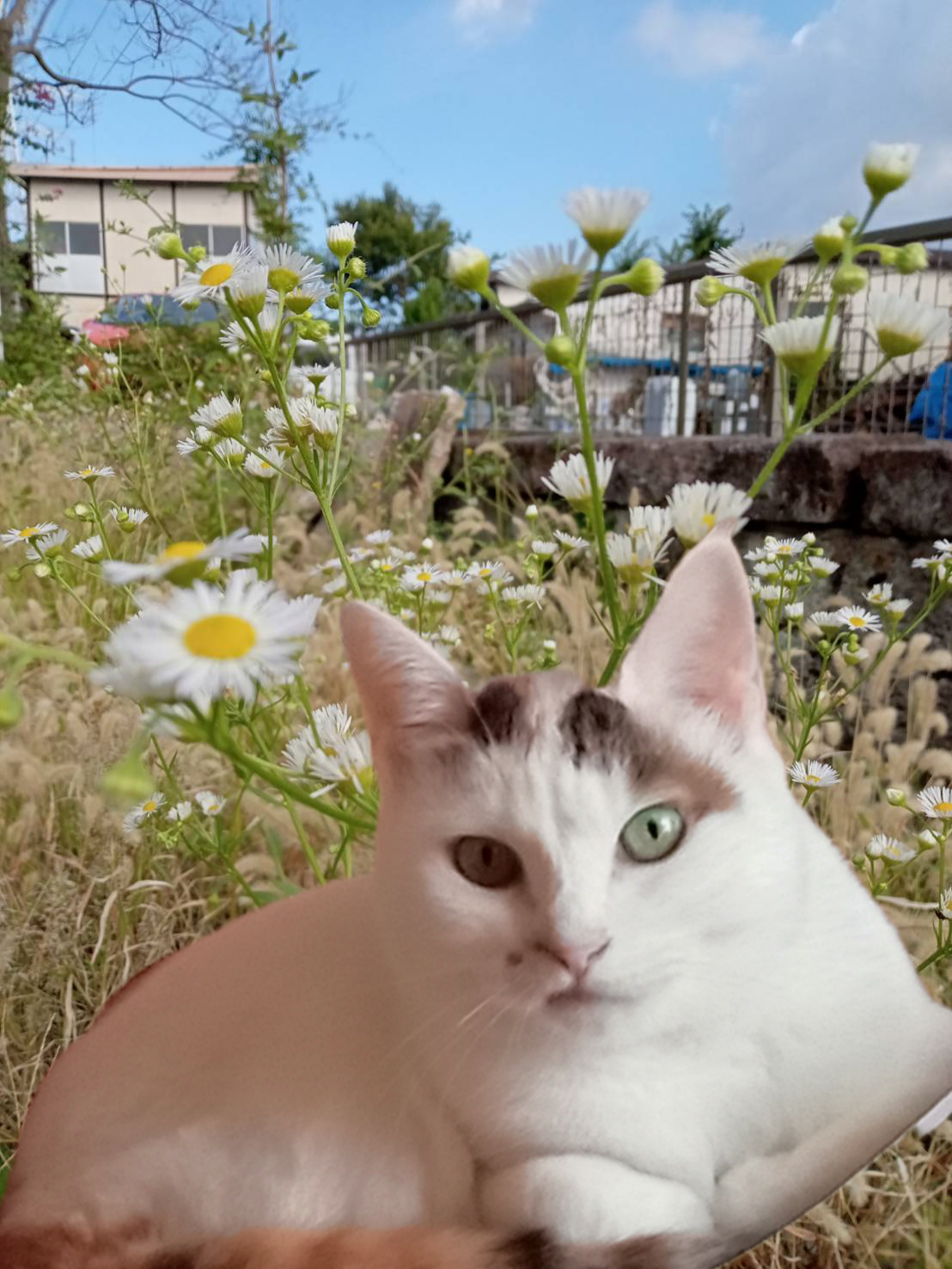 タマちゃんさんのプロフィール画像