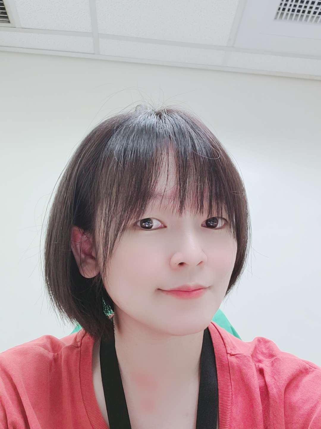 めいさんのプロフィール画像